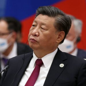 Read more about the article 江澤民捉蟲入屎忽